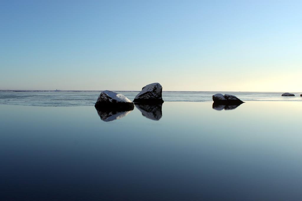 South Iceland Guesthouse Steinar Bagian luar foto