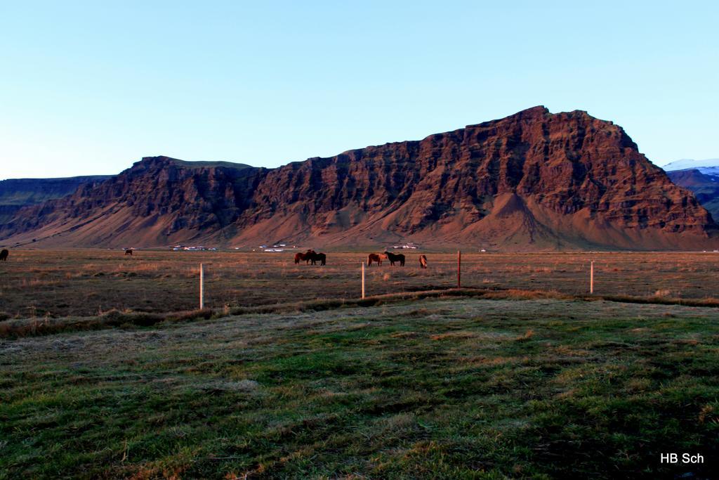 South Iceland Guesthouse Steinar Bagian luar foto