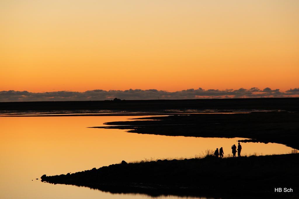 South Iceland Guesthouse Steinar Bagian luar foto