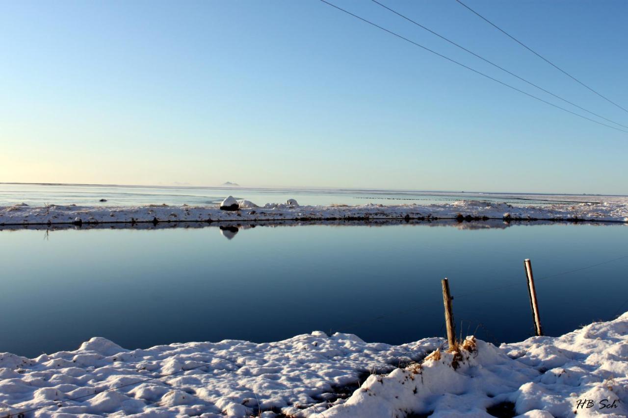 South Iceland Guesthouse Steinar Bagian luar foto