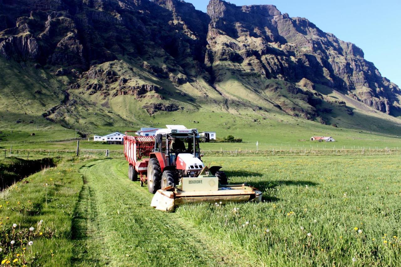 South Iceland Guesthouse Steinar Bagian luar foto